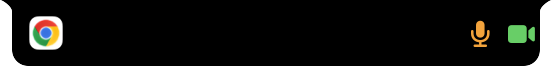 Mac Island 隐私状态